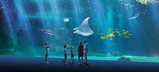 Nausicaa Centre National De La Mer